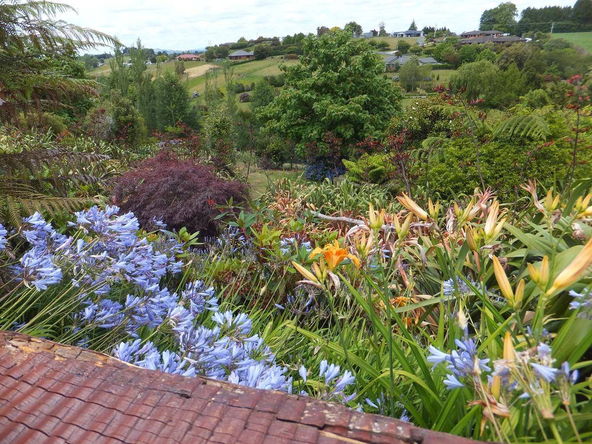 Waitomo Golfstays B&B Otorohanga Bagian luar foto